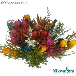 NIKWAFLORA | BQ CAPE MIX MULTI