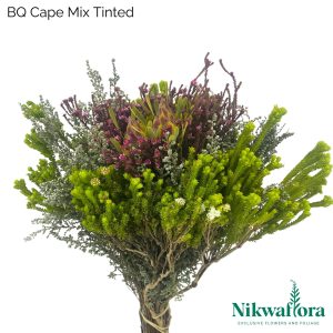 NIKWAFLORA | BQ CAPE MIX TINT