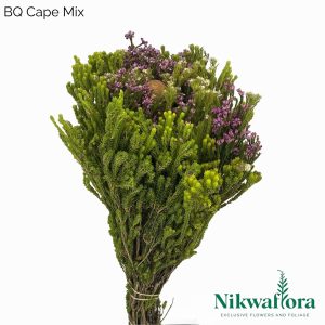 NIKWAFLORA | BQ CAPE MIX NATURAL