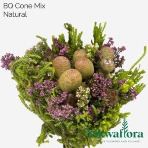 NIKWAFLORA | BQ CONE MIX NATURAL