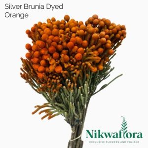 NIKWAFLORA | BRUNIA SILVER DYED ORANGE